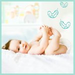 Pampers Premium Care 2 240 ks – Zboží Dáma