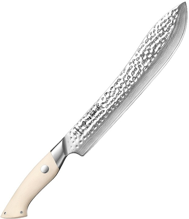 Hezhen Nůž pro šéfkuchaře Butcher B38H 10\