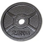 FitnessLine Kotouč litinový 30 mm - 2,5 kg – Zboží Mobilmania