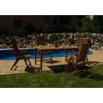 Fieldmann CALYPSO-T – Sleviste.cz