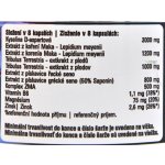 Hi Tec Nutrition Black Devil 240 kapslí – Zbozi.Blesk.cz