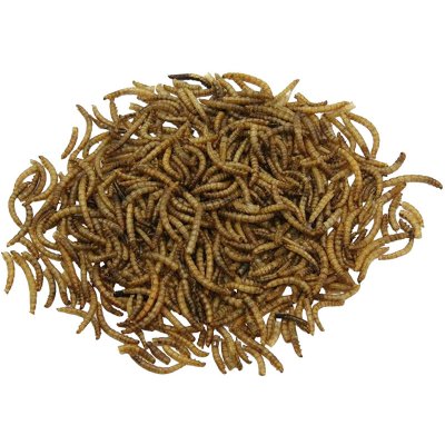 Healthy Pond Mealworms 2,5 l – Zboží Mobilmania