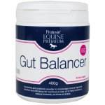 Protexin Equine Premium Gut Balancer 0,4 kg – Hledejceny.cz
