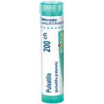 PULSATILLA POR 200CH GRA 4G – Hledejceny.cz