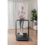 Flow Fitness DTM200i – Hledejceny.cz