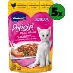 Vitakraft Cat Poésie Délice Junior Sauce kuřecí 85 g – Hledejceny.cz