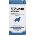 Roboran Chondro Natural pro psy 100 tbl – Hledejceny.cz