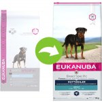 Eukanuba Adult Breed Specific Rottweiler 2 x 12 kg – Hledejceny.cz