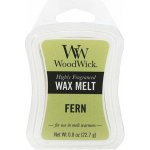 WoodWick vonný vosk do aroma lampy Kapradina 22,7 g – Zboží Dáma