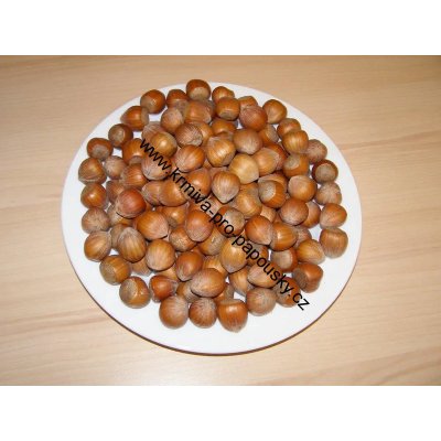 Manitoba Lískové ořechy 10 kg