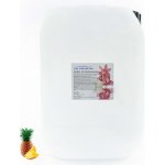 PM Aqualog esence do parních kabin ananas 803-010/D 10 l – Hledejceny.cz