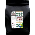 BotaCoffee Brazil Santos 17/18 from Guaxupe zelená zrnková 1 kg – Hledejceny.cz