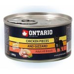 Ontario Chicken Pieces + Gizzard 200 g – Hledejceny.cz