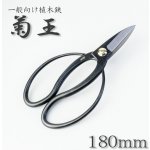 Kikuo Okubo nůžky na bonsaje 180/55 – Zbozi.Blesk.cz