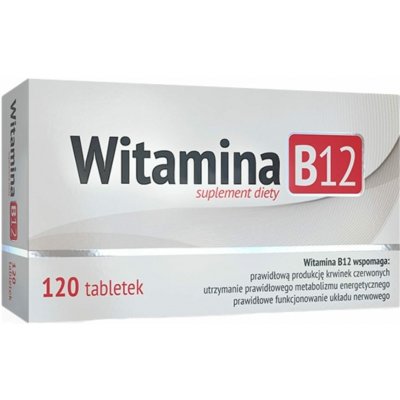 ALG Pharma Vitamin B12 100 mcg 120 tablet – Hledejceny.cz