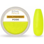 Starnails Nail Art zdobení pigment P056 – Hledejceny.cz