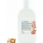 PM Aqualog esence do parních kabin zázvor 922-001/D 1 l – Hledejceny.cz