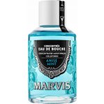 Marvis Anise Mint 120 ml – Zboží Dáma