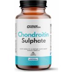 Natural Nutrition Chondroitin sulfate Chondroitin sulfát kapsle 90 kapslí – Hledejceny.cz