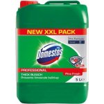 Domestos Professional Pine Fresh univerzální čistící prostředek 5 l – Hledejceny.cz