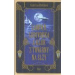 Lampář, lodivodka a kluk z továrny na slzy - Kateřina Havlíková – Hledejceny.cz