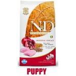 N&D Ancestral Grain Puppy Medium & Maxi Chicken & Pomegranate 12 kg – Hledejceny.cz