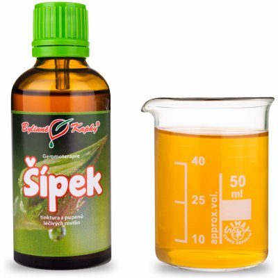 Růže šípková (šípek) tinktura z pupenů (gemmoterapie) 50 ml doplněk stravy – Hledejceny.cz