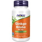 Now Foods Ginkgo Biloba 60 mg 120 kapslí – Hledejceny.cz