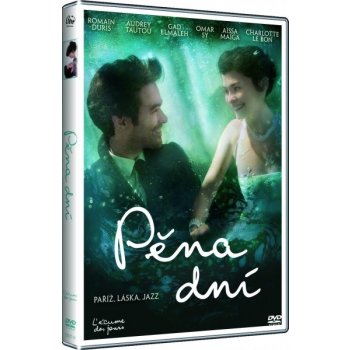 Pěna dní DVD