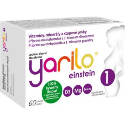 Yarilo Einstein 1 60 tobolek – Hledejceny.cz