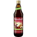 Rabenhorst Šťáva B- Aktiv recept dle Breusse Bio 0,75 l – Zboží Dáma