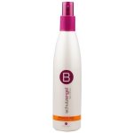 Berrywell Heat Protection Lotion Ochranný přípravek před teplem 251 ml – Zboží Mobilmania