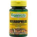 Veganicity Megadophilus 1,25 miliardy Lactobacillus Acidophilus 60 kapslí – Hledejceny.cz