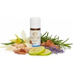 Maharishi Ayurveda Směs esenciálních olejů Pitta 10 ml – Hledejceny.cz