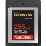 SanDisk SDC 256G SDCFE-256G-GN4NN – Zboží Mobilmania