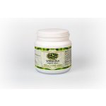 Bio Detox Spirulina Bio 300 g 1200 tablet – Hledejceny.cz