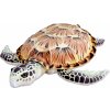 Plyšák želva kareta obrovská 87 x 79 x 20 cm