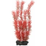 Tetra Myriophyllum heterophyllum - Red Foxtail 30 cm – Sleviste.cz