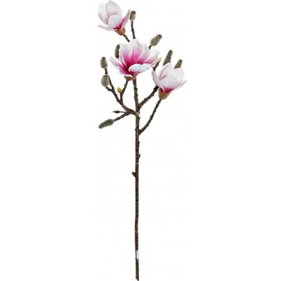 Větvička magnolie do vázy 20x65cm – Zboží Mobilmania