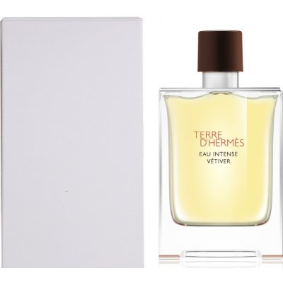 Hermès Terre d'Hermès Eau Intense Vétiver parfémovaná voda pánská 100 ml tester – Sleviste.cz