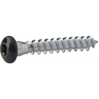 Vrut RAPI-TEC do tesařského kování lakované 5x40 TX20 RAL 8003 světlě hnědá – Hledejceny.cz