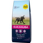 Eukanuba Adult Large Breed 18 kg – Hledejceny.cz