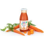 Salvest Põnn BIO Mrkvová šťáva s dužinou 240 ml – Sleviste.cz