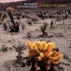 Hudba 40 Years in the Desert - Lisa Bodnar & Whistlegrass CD