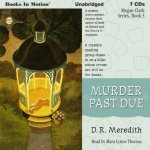 Murder Past Due Megan Clark Series, Book 3 – Hledejceny.cz
