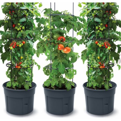 Prosperplast Sada 3X Květináč Na Pěstování Rajčat Tomato Grower 392X1530 Mm - Antracit