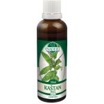 Naděje Kaštan pravý tinktura z pupenů rostlin 50 ml – Hledejceny.cz