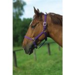 Norton Nylonová ohlávka fialová – Zboží Dáma