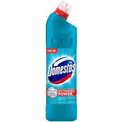 Domestos 24h Atlantic Fresh tekutý desinfekční a čisticí prostředek 750 ml – Hledejceny.cz