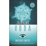 Zázračná voda - Masaru Emoto – Hledejceny.cz